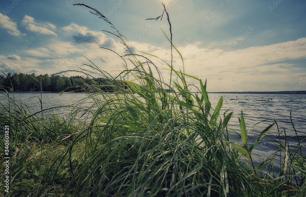 Fototapeta premium Wakacje nad wodą