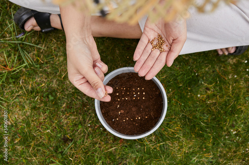 woman sows herbs in a pot. the model sits on the grass, has seeds on her hand and arranges them in a pot.