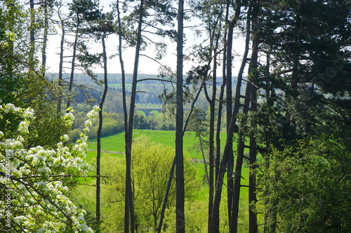 Ausblick durch Nadelb  ume auf Landschaft mit Viadukt im Fr  hling