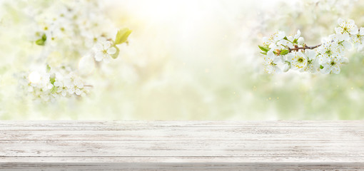 Spring background with white blossoms and white wooden table. Spring apple garden on the background