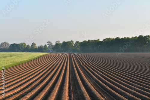 plowed field in spring photo