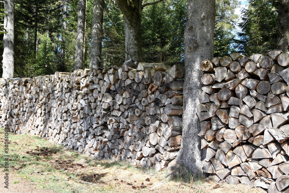 Fototapeta premium Holzstapel