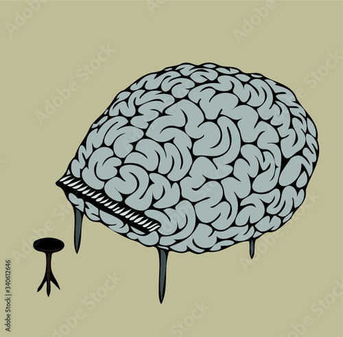 
the brain is  instrument or keys for your mind