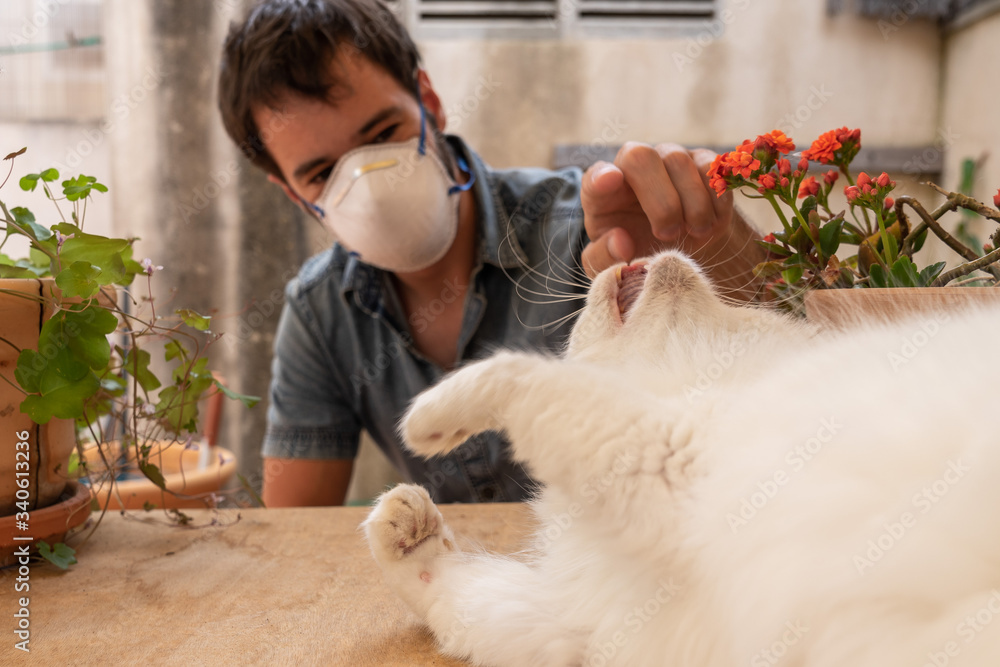 Playful white cat and a caucasian man with medical mask playing with him in a garden with flowerpots, during 2019-ncov or coronavirus crisis quarantine.