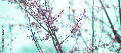 Panel kuchenny z motywem wiosenne kwiaty