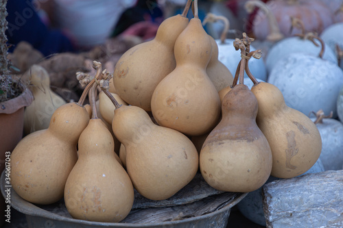 Dried bottle gourd or calabash gourd in northern market of Thailand