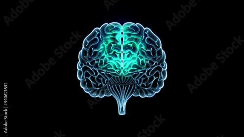 human brain motion loop