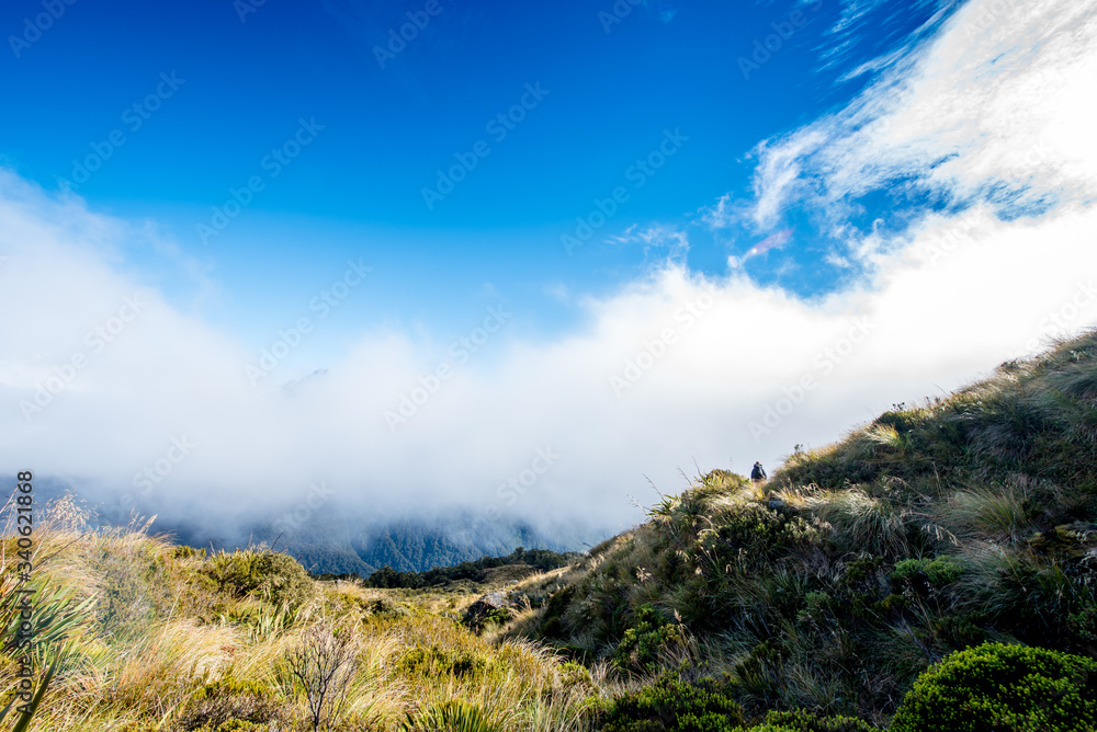 Fototapeta premium Routeburn Track, Fiordland National Park, New Zealand ルートバーントラック, フィヨルドランド国立公園, ニュージーランド
