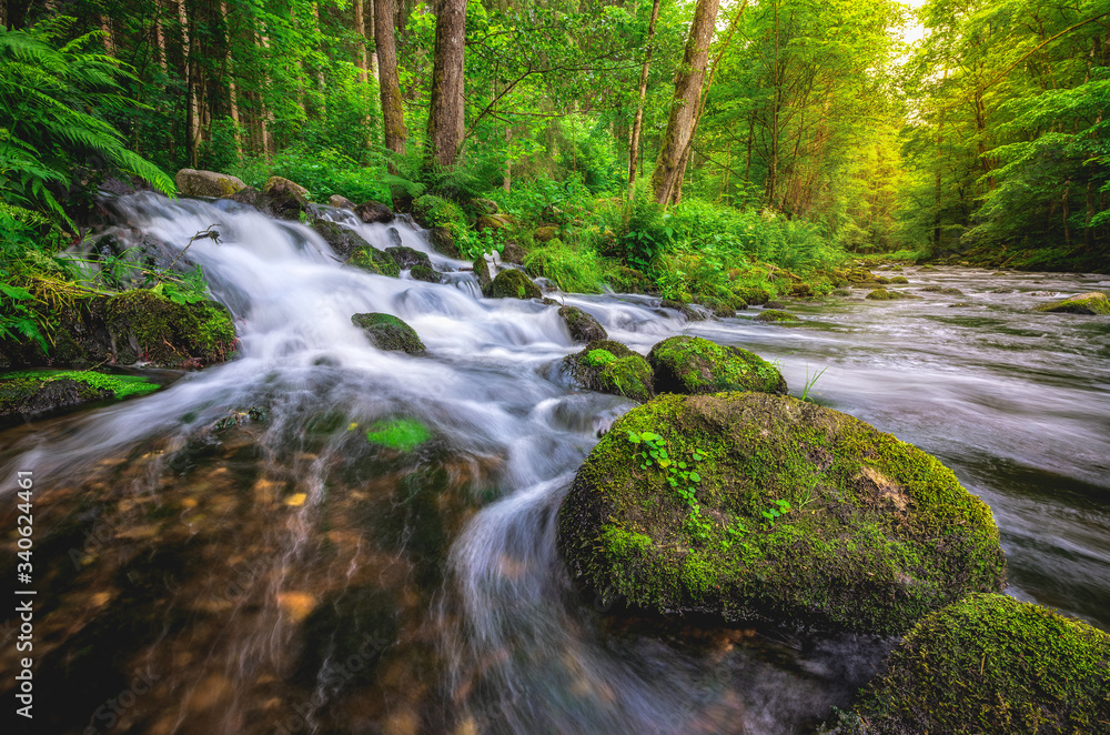 waterfall in the forest