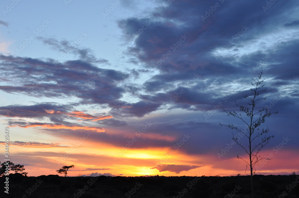 Fototapeta premium Atardecer con colores naranjas y azules intensos y nubes dibujando el cielo