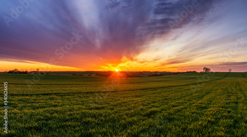 spring panorama of green sown crops during sunset © Mike Mareen