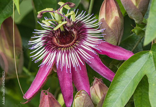 Taken at Kew Gardens, London