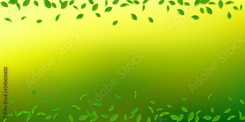 Falling green leaves. Fresh tea chaotic leaves fly