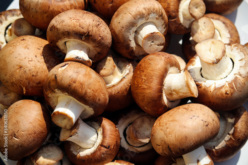 A pile of fresh mushrooms