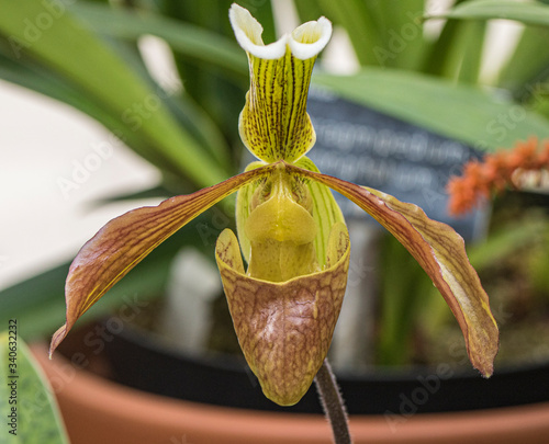 Taken at Kew Gardens, London