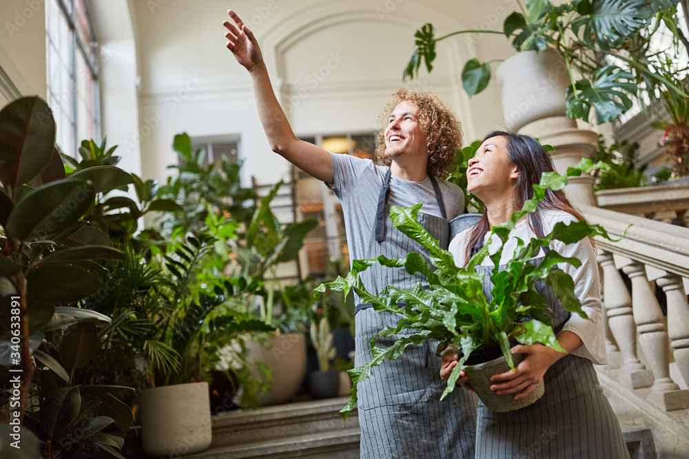 Floristen von Eventfloristik haben eine Deko Idee Stock Photo | Adobe Stock