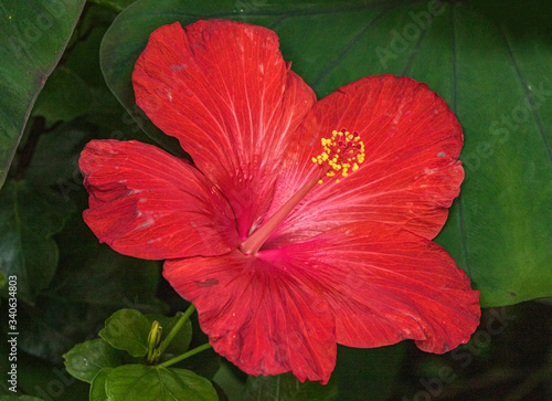 Taken at Kew Gardens, London