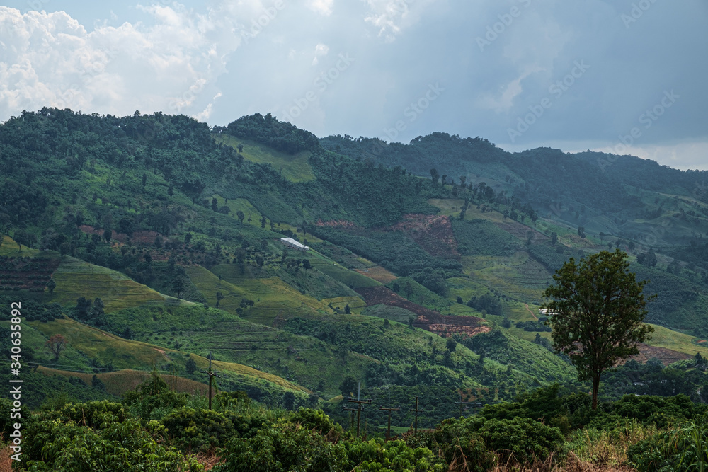 Obraz premium Hill tribe corn plantations and forests during the rainy season in northern Thailand