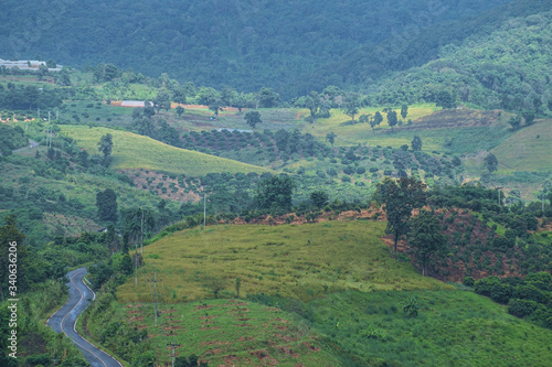 Hill tribe corn plantations and forests during the rainy season in northern Thailand