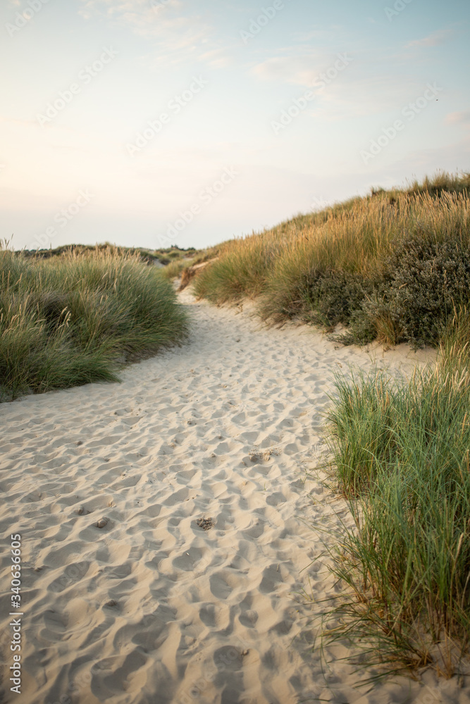 Fototapeta premium Strandtag
