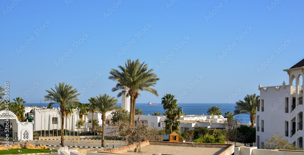 beautiful panorama desert and sea in Egypt . 2020
