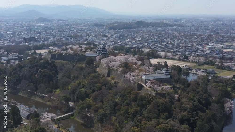 Hikone castle standing over city, spring sakura in gardens Japan Aerial Pan shot Hikone castle standing over city, spring sakura in gardens Japan Aerial Pan shot