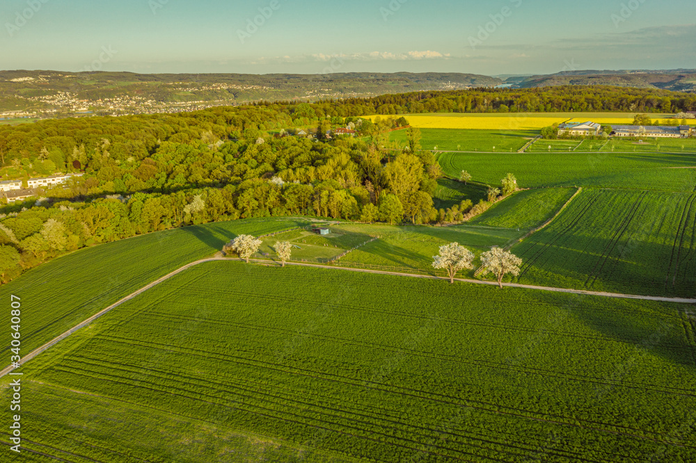 Aerial view of the farm countryside  of Remagen Germany Nature