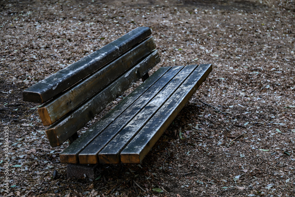 Fototapeta premium old bench in the park