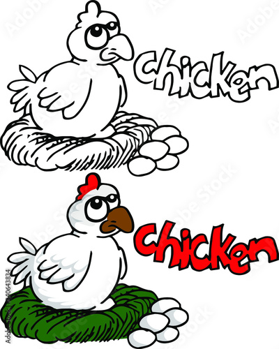 laying hens and eggs chicken