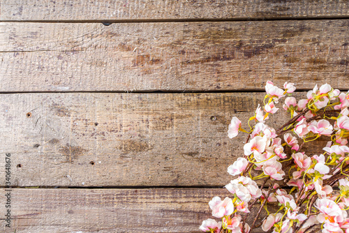 Spring flowering branch on wooden background. Apple or cherry blossoms on old rustic wood backdrop copy space