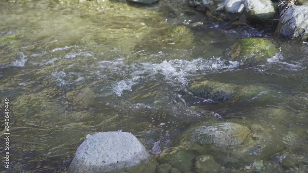 A clean mountain river flows over stones A clean mountain river flows over stones