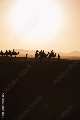 Atardecer en el desierto con camellos 