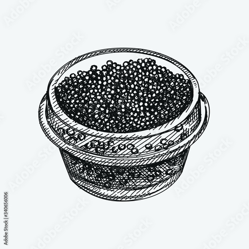 Hand-drawn sketch of caviar in a small glass jar on a white background. Black caviar. Sea food. Caviar for a snack. Caviar canapé 