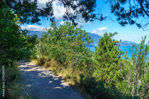 Fototapeta Naklejka Na Ścianę i Meble -  The Sunny path along the Black Sea coast near Yalta in Crimea