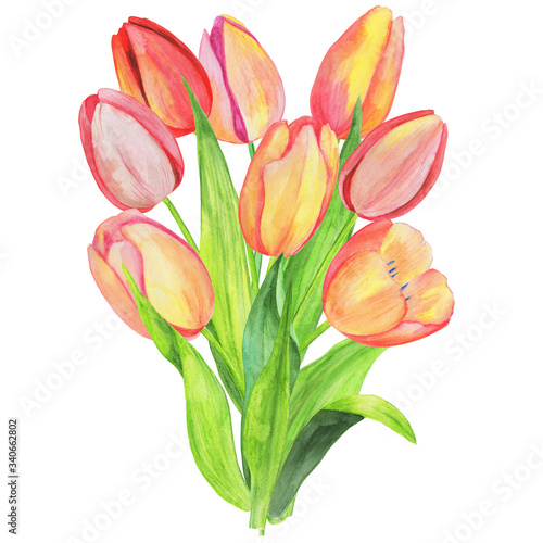 watercolor illustrations  bouquet of flowers and tulip leaves  isolate on a white background  for wedding design