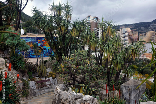 Aerial view of Monaco from the heights of the exotic garden with cactuses in the foreground