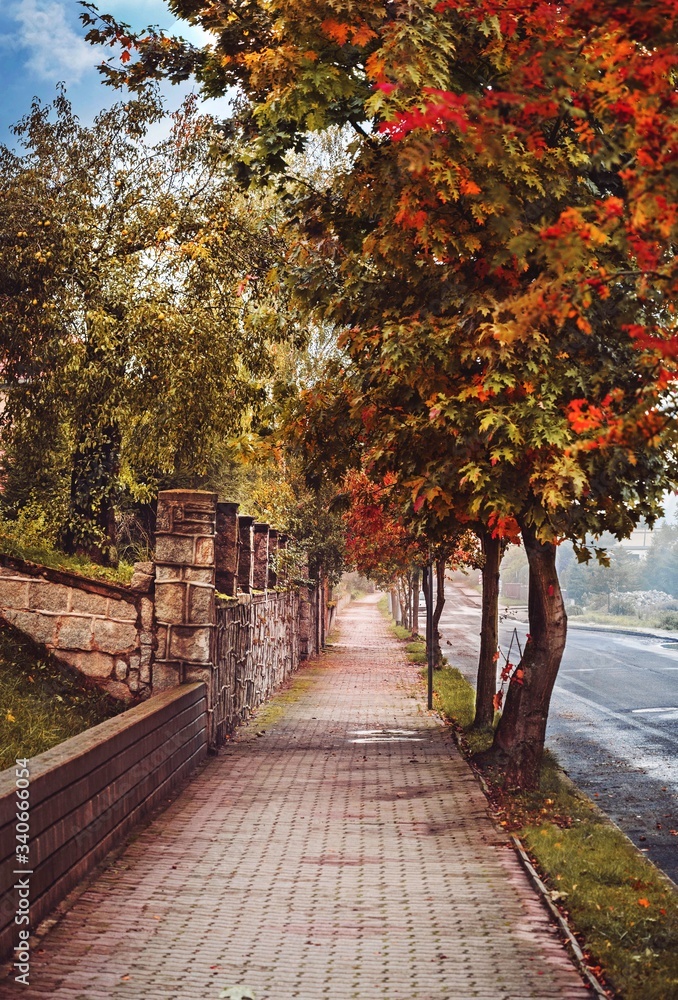 Kolorowa aleja Jesieni 