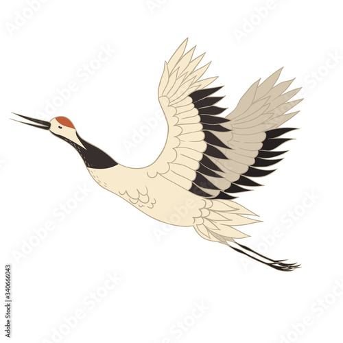 Japanese crane bird isolate on a white background. Vector graphics.