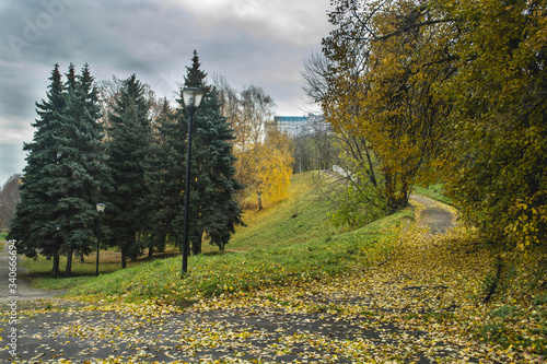 
AUTUMN IN THE PARK