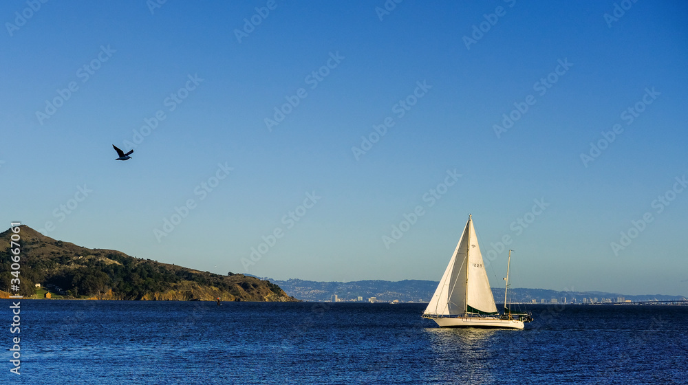 Obraz premium boat sailing San Francisco Bay