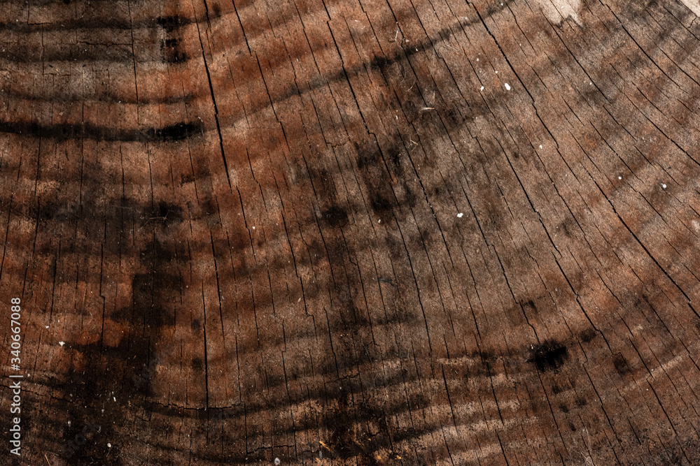 Fototapeta premium Old natural wooden shabby background close up