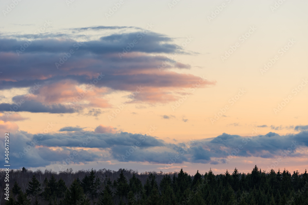 Fototapeta premium Beautiful sunset clouds on sky over forest horizon