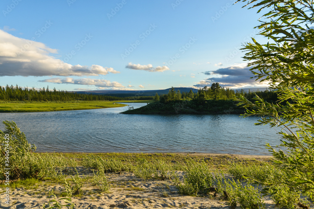 Pike river on the Yamal Peninsula.