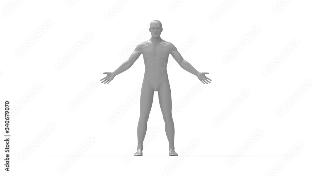 3D rendering of a human being anatomy full standing male man isolated 3D rendering of a human being anatomy full standing male man isolated