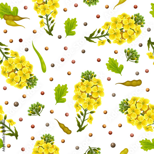 Pattern rape flowers and leaves, canola. Brassica napus. Seamless vector background.
