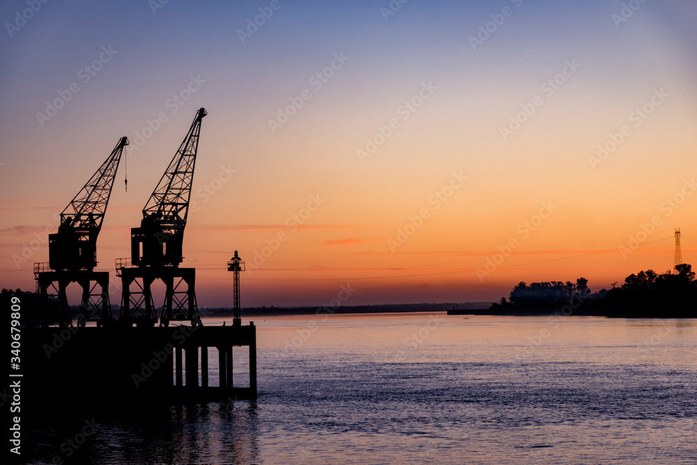 cranes at sunset