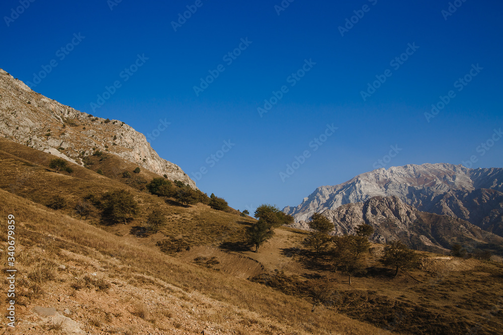 Block hill made of eroding fractured granite above dry canyon with isolated green trees, Saudi Arabia Block hill made of eroding fractured granite above dry canyon with isolated green trees, Saudi Arabia
