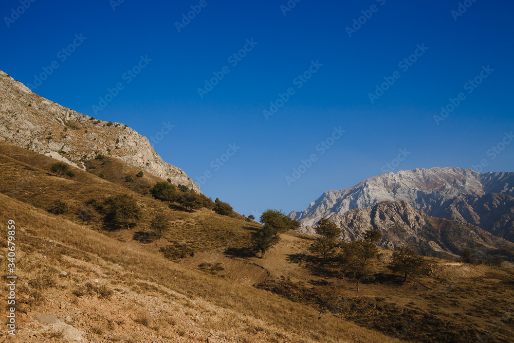 Block hill made of eroding fractured granite above dry canyon with isolated green trees, Saudi Arabia