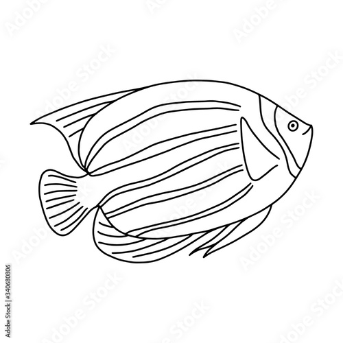 The fish of the sea or river.Coloring pages for adults or children.Black and white image.Doodle coloring book.Vector illustration.