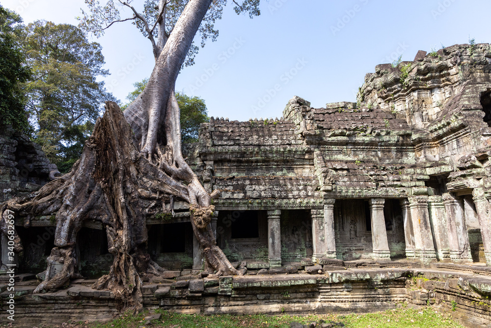 Ta Phrom, Angkor Wat